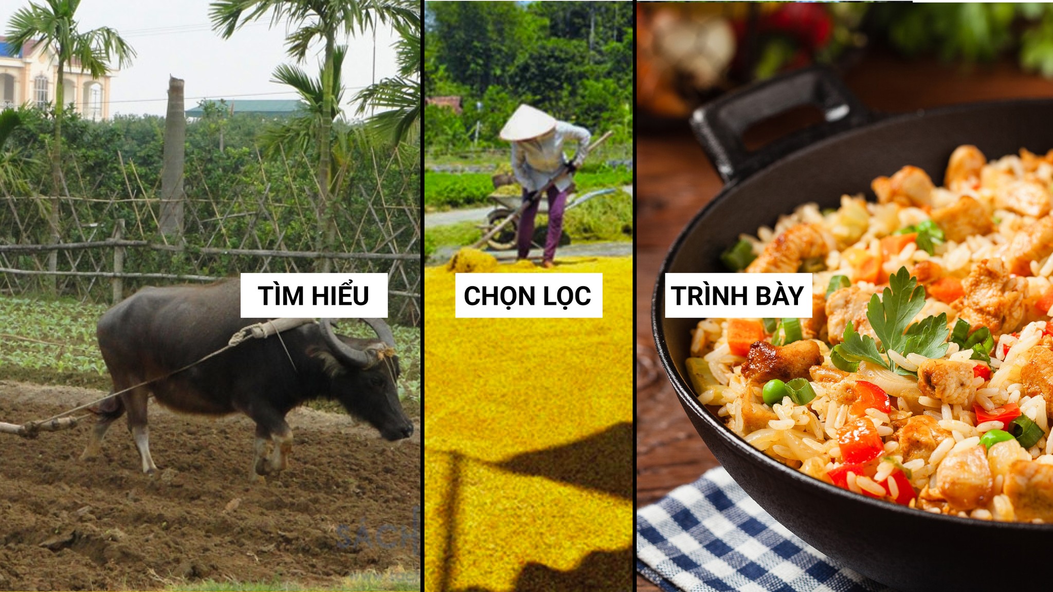 Hình ảnh về tác giả Cỏ Xanh